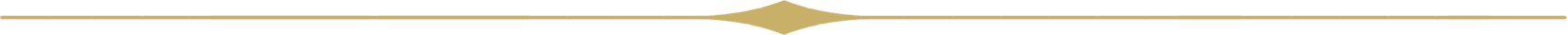 separator-gold